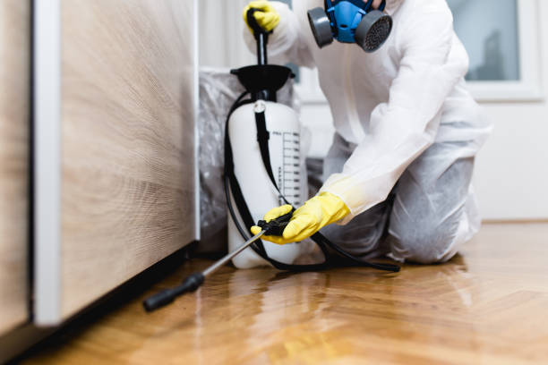 Best Bed Bug Extermination  in West Little River, FL